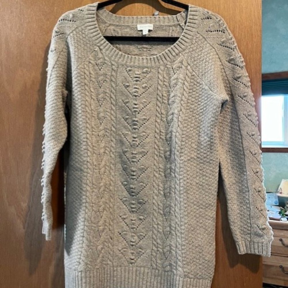 Garnet Hill 100% extreme merino wool sweater